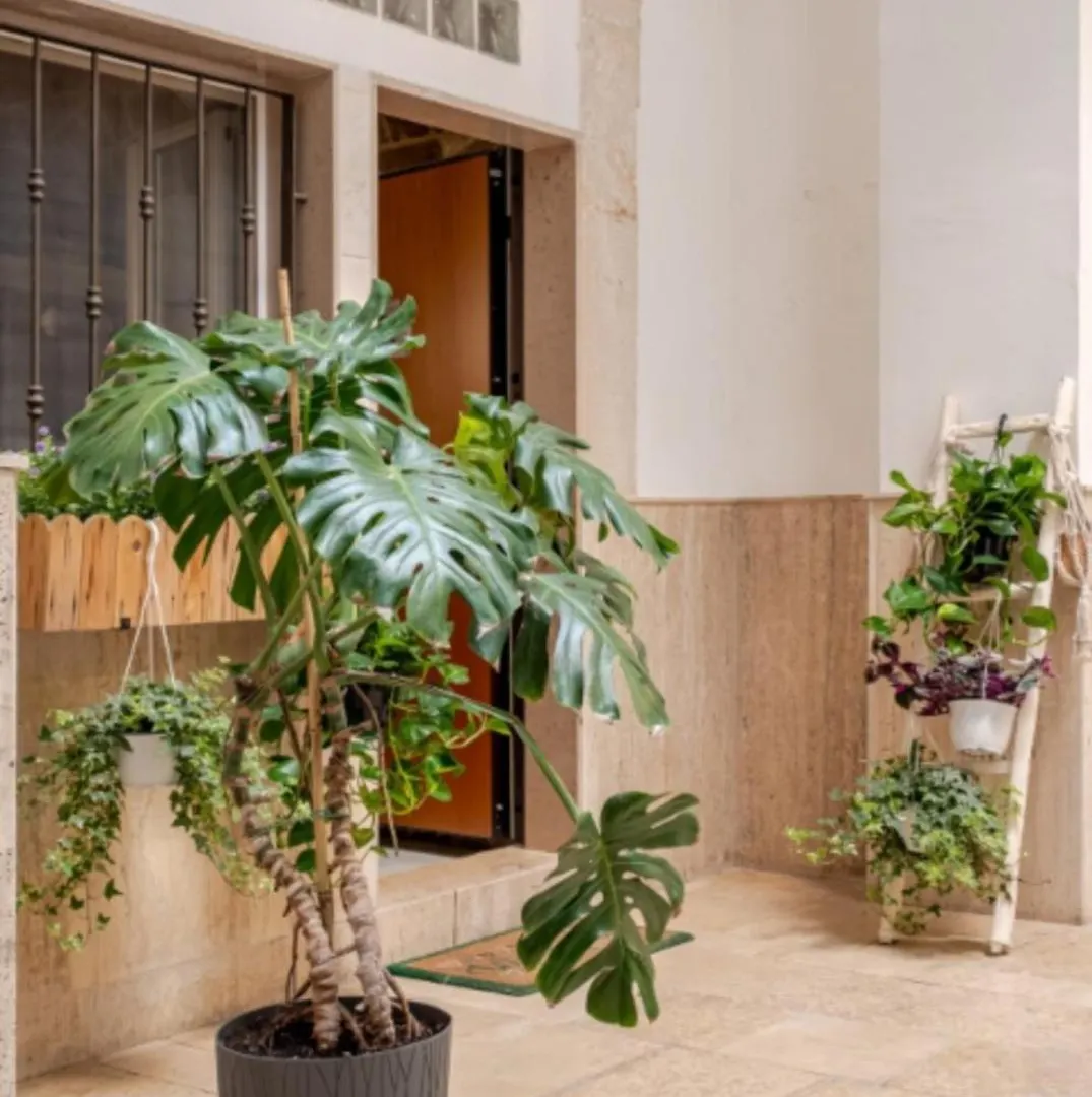 Apartment Lullaby Room Bari